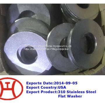 310 Stainless Steel Flat Washer