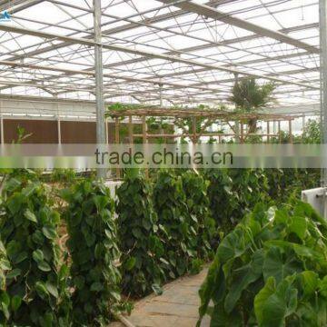 Galvanized Steel Pipes Greenhouse Structure With Hydroponic System photo-3
