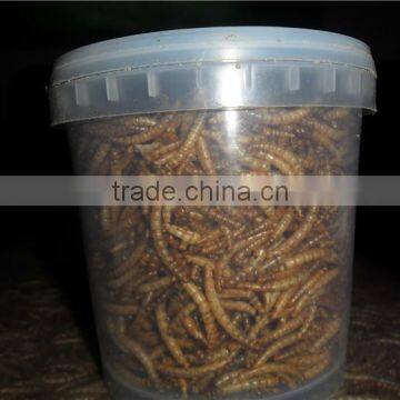 Poultry Feed Additive High Protein Mealworm photo-4