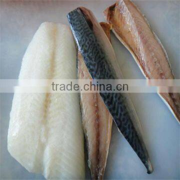 frozen cleaning sea fish suppliers