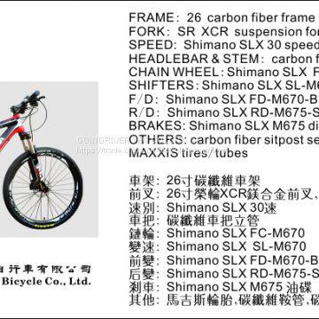 biccyle MTB E-BIKE