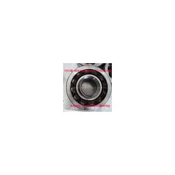 High Precision Angular Contact Ball Bearing 7313B