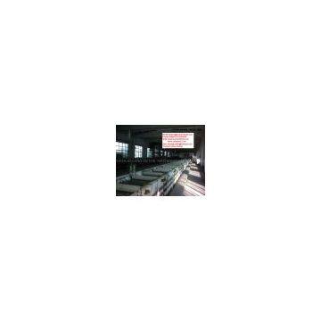 Electro Galvanizing Line