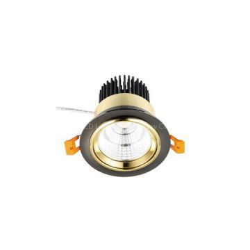 Silver COB Downlight