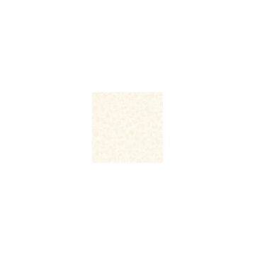 polished porcelain tiles
