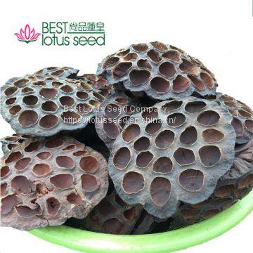 Dried Natural Arrangements Decoration Lotus Seedpod Head Shell Herbal Medicine Wholesaler Exporter Supplier