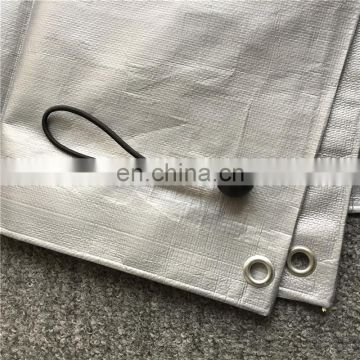 Plastic fabric tarpaulin