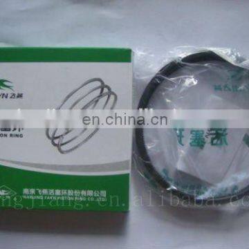FAYN R175 Small Engine Piston Ring