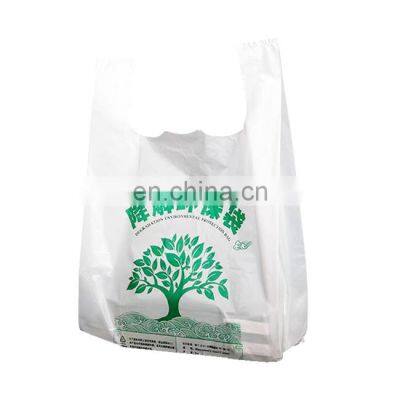 Biodegradable Plastic Shopping Bags Film Blowing Machine Biodegradable Machinery