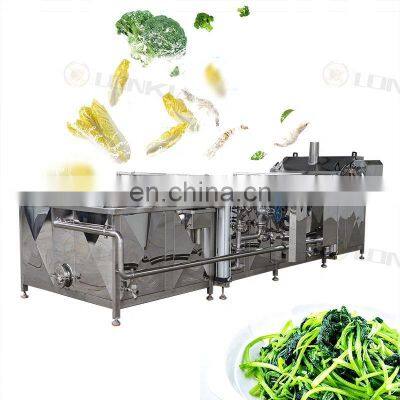 Vegetable Fruit Processing line fruit vegetable blanching machine For Pre-cooking