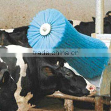 Hourglass Cow Brush for Scratch