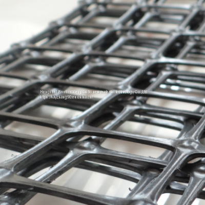 Black Bidirectional Geogrid Plastic Net Chicken and Duck Enclosure Isolation Breeding Net Orchard Fence Net Fence photo-3