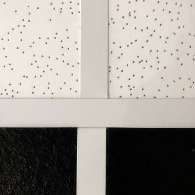 Light Weight PVC T-grids for Moisture-resistant Ceilings photo-4