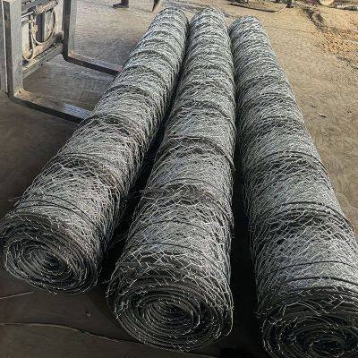 Galvanized Hexagonal Mesh Gabion Rockfall Netting PVC Coated Plain Weave Woven Netting for Rockfall Protection Competitive Price photo-3