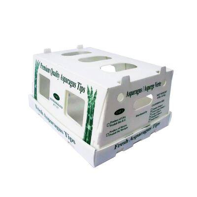Agricultural Goods PP Corrugated Box -Sweet Corn, Cabbage,Orah Mandarin,Grape,Asparagus