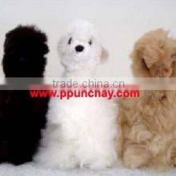 Vicuna Toy fur Baby Alpaca Peru