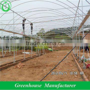 Good Price Greenhouses Growing Vegetable photo-2