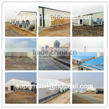Automatic Poultry Feeding and Drinking System for Broiler photo-6