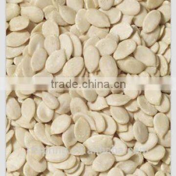 MELON SEED KERNELS,MELON SEEDS