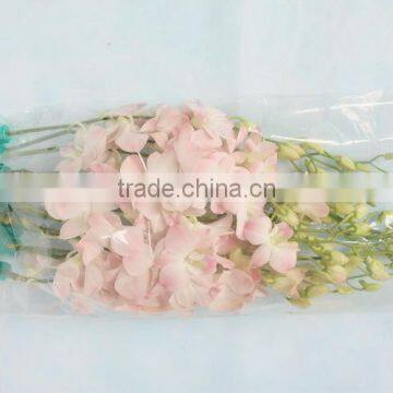 Various best selling high simulation wholesale butterfly orchid