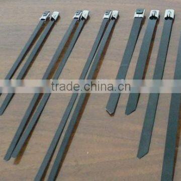 Supply 12*550 Stainless Steel Cable Tie /ladder type stainless steel ties/universal clamping band