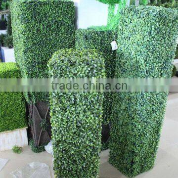 Green boxwood hedge supplier(New design of 2013)