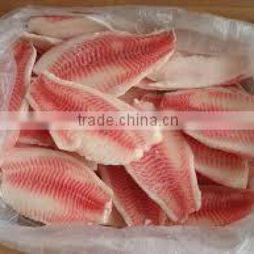 Frozen Tilapia Fillet