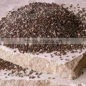 Chia Seeds