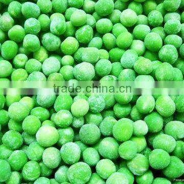 Supply hot sale IQF green peas with good quality