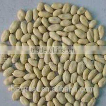 Supply Chinese Blanched Peanut Kernels Long for Sales