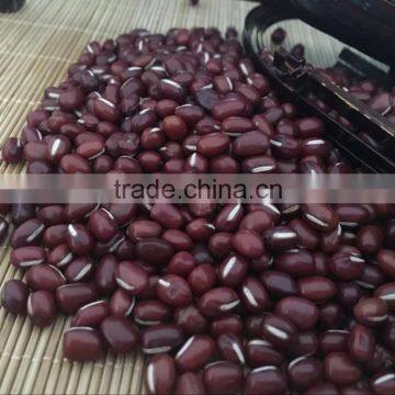 Chinese Adzuki Beans for Europ photo-2