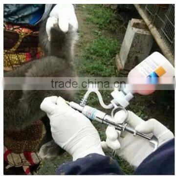 Animal Syringe Continuous Syringe 5ml Sheep ,corn,cow Syringe photo-4