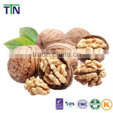 TTN Chinese Organic Raw Walnuts in Shell Price Walnut