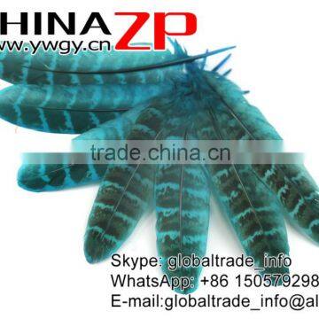 Hotselling CHINAZP Dyed Turquoise Blue Ringneck Wing Quills Feather for Party Decoration photo-4