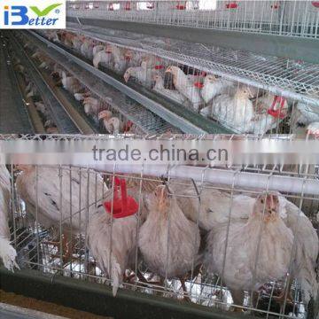 2013 hot-sell H type metal breeding cage(Factory price)