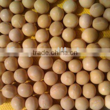 Soybean/soya beans/yellow soybean( 2010 crop, Heilongjiang Origin)