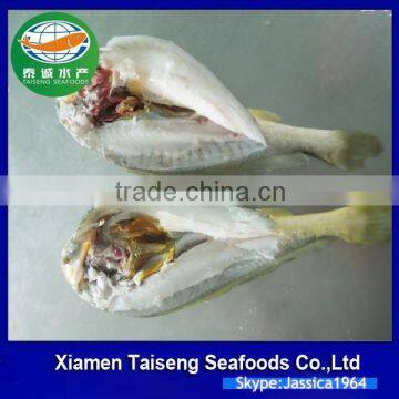 Frozen Seafood Frozen Yellow Croaker, Yellow Croaker Fish Price photo-5