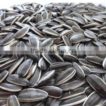 Price Of Sunflower Seeds 5009 With Good Quality Lowest Price photo-5