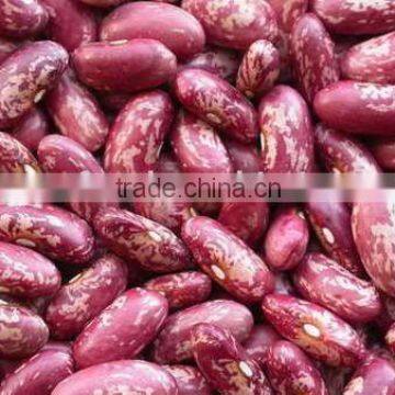 Red speckled kidney beans