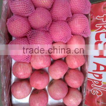 2016 New Season Crisp & Juicy Red Fuji Apple Fruit