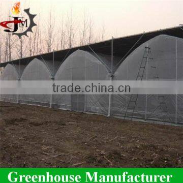 Reinforced Plastic Film Wide Multi Span Greenhouse photo-2