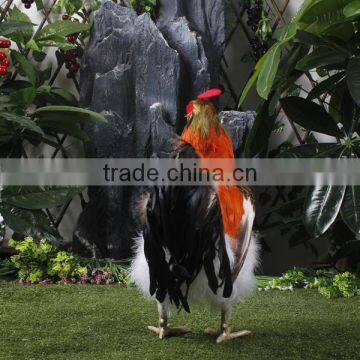 Dance Plush Chicken Toy for Garden Decoration photo-5