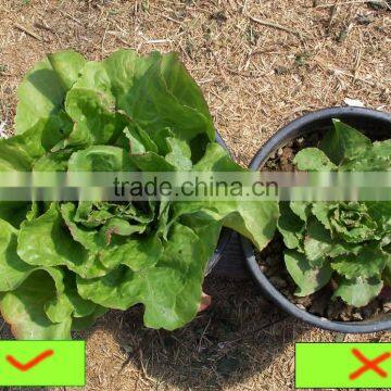 chinese latest technology 90%min soluble humic acid price