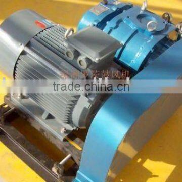 Strong Wind-power Roots Blower