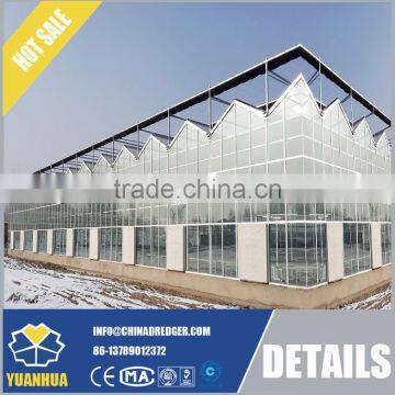 Venlo Type Glass Greenhouse for Vegetable and Flowers Growing photo-6