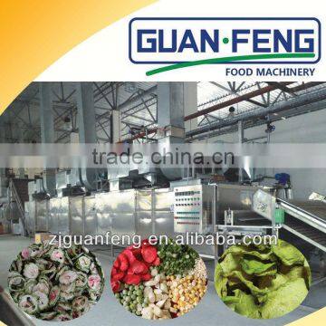 2017 Vegetable Dryer High Output Garlic Processing Machines photo-3