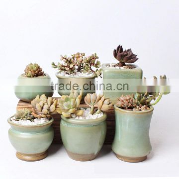 New design small indoor succulents ceramic flower pots