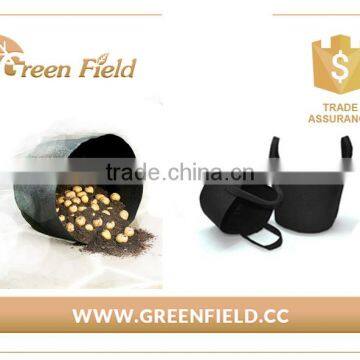 Wholesale Vegetable Felt Planter Bag Felt Potato/Carrot Planter Pots photo-3