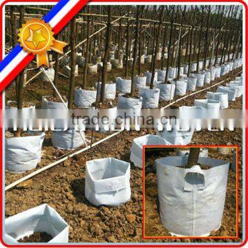 Nonwoven Fabric Grow Bag