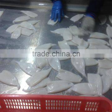 IQF U5 Pacific Squid Tube photo-3